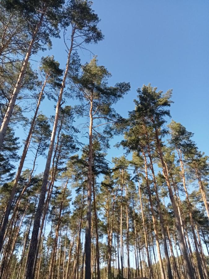 Ferienzimmer Waldzauber Borkwalde Luaran gambar