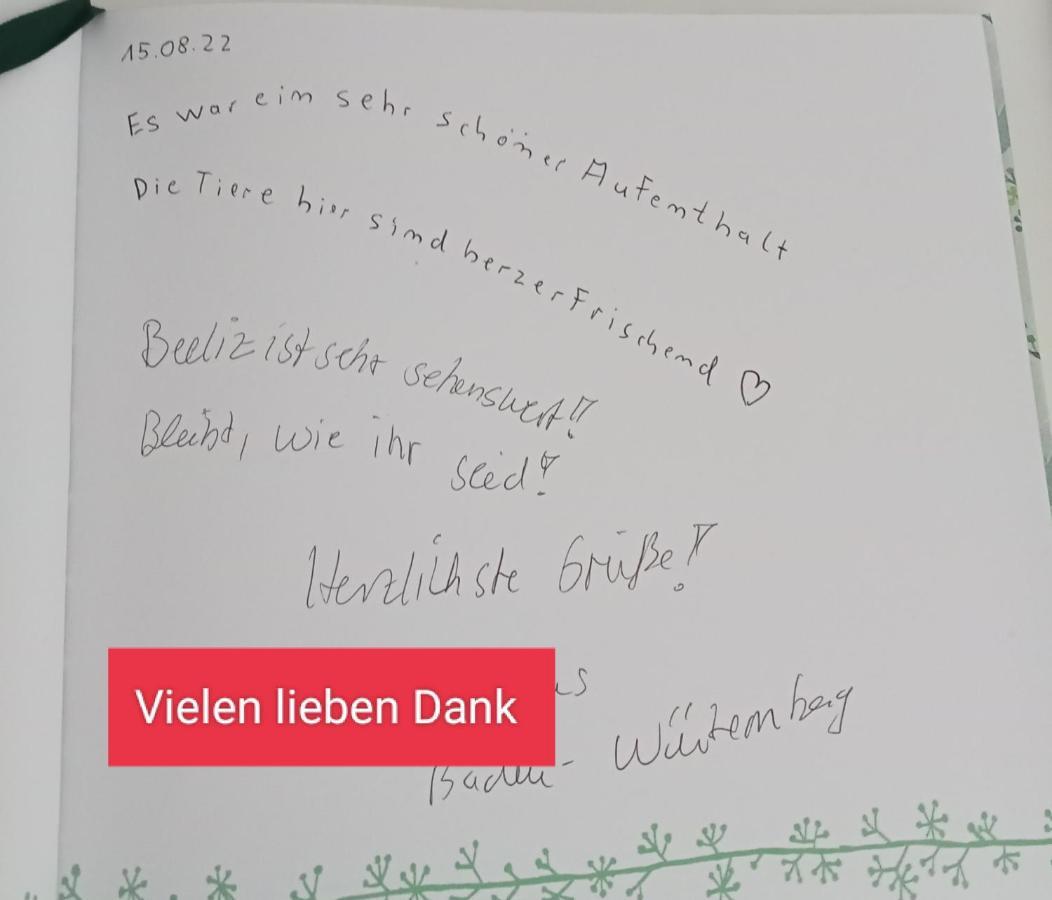 Ferienzimmer Waldzauber Borkwalde Luaran gambar