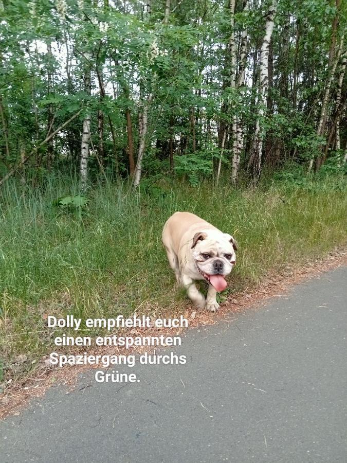 Ferienzimmer Waldzauber Borkwalde Luaran gambar