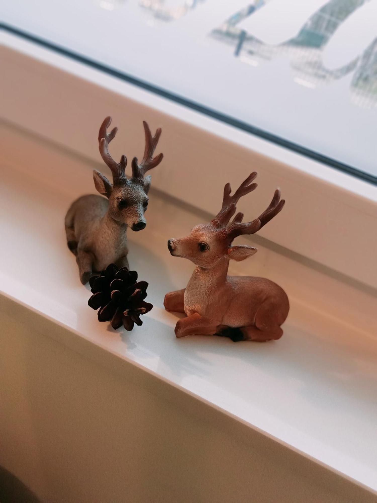 Ferienzimmer Waldzauber Borkwalde Luaran gambar