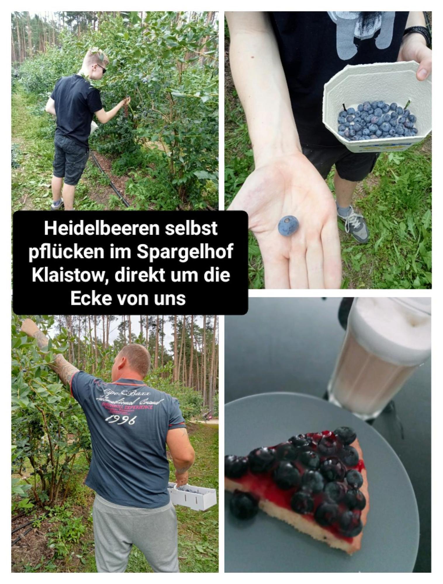 Ferienzimmer Waldzauber Borkwalde Luaran gambar